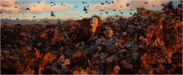 Cena do filme O Hobbit, personagem sorridente em meio a uma floresta outonal com borboletas azuis voando ao redor.